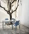 diesis_stół_2023_3.webp