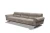 roger_i729_3.webp