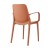 ginevra_armchair_21.jpg